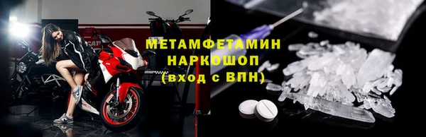 прущие грибы Волосово