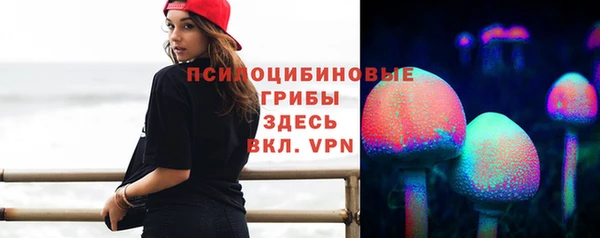прущие грибы Волосово