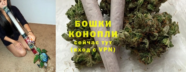 прущие грибы Волосово