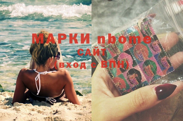 прущие грибы Волосово